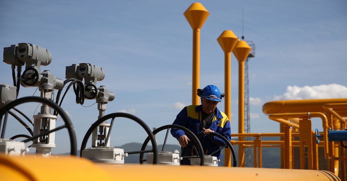 Bulgaria says talks to resume Russian gas supplies are 'inevitable'