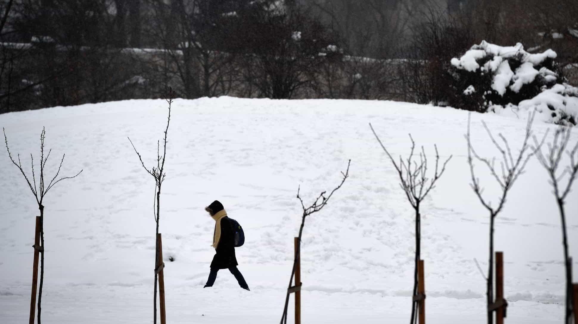 Bulgaria Hit by Electricity Shortages, Government Issues Financial Aid